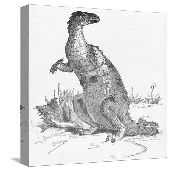 Stretched Canvas Print, , large