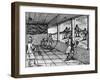 Illustration of Indoor Tennis from Orbis Sensualium Pictus-null-Framed Giclee Print