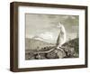 Illustration of Kangaroo-null-Framed Giclee Print