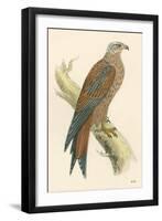 Illustration of Kite on Branch-null-Framed Art Print