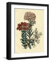 Illustration of Leafy and Colorful Flowers-Bettmann-Framed Photographic Print