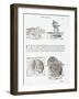 Illustration of Methods for Producing Dense Smoke Using Steam and Oil-Giovanni Antonio Rusconi-Framed Giclee Print