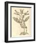 Illustration of "Monstrum Tetrachiron Alatum Capite Humano Aurito"-null-Framed Giclee Print