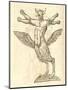 Illustration of "Monstrum Tetrachiron Alatum Capite Humano Aurito"-null-Mounted Giclee Print