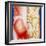 Illustration of Muscles of the Back with Bones-John Bavosi-Framed Premium Photographic Print