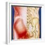 Illustration of Muscles of the Back with Bones-John Bavosi-Framed Premium Photographic Print