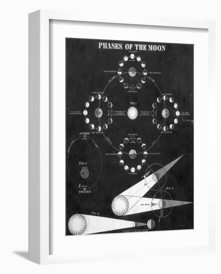 Illustration of Phases of the Moon-null-Framed Giclee Print