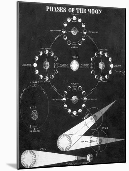 Illustration of Phases of the Moon-null-Mounted Giclee Print