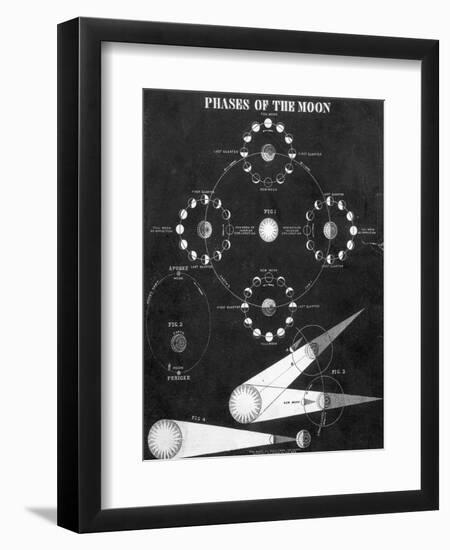 Illustration of Phases of the Moon-null-Framed Premium Giclee Print