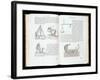 Illustration of Procedure for Removing Blocks of Stone-Giovanni Antonio Rusconi-Framed Giclee Print