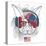 Illustration of Rabbit in the Glasses, Headphones and in Hip-Hop Hat with Print of Usa. Vector Illu-Sunny Whale-Stretched Canvas