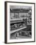 Illustration of Railway Transport in London-Stefano Bianchetti-Framed Giclee Print