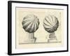 Illustration Of Sculpture. Geometric Designs Illustrating Euclidian Principles Of Geometry.-Wenzel Jamnitzer-Framed Giclee Print