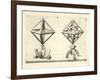 Illustration Of Sculpture. Geometric Designs Illustrating Euclidian Principles Of Geometry.-Wenzel Jamnitzer-Framed Giclee Print