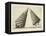 Illustration Of Sculpture-Wenzel Jamnitzer-Framed Stretched Canvas