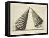 Illustration Of Sculpture-Wenzel Jamnitzer-Framed Stretched Canvas