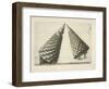 Illustration Of Sculpture-Wenzel Jamnitzer-Framed Giclee Print