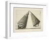 Illustration Of Sculpture-Wenzel Jamnitzer-Framed Giclee Print