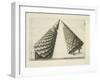 Illustration Of Sculpture-Wenzel Jamnitzer-Framed Giclee Print