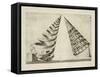 Illustration Of Sculpture-Wenzel Jamnitzer-Framed Stretched Canvas