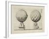 Illustration Of Sculpture-Wenzel Jamnitzer-Framed Giclee Print