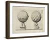 Illustration Of Sculpture-Wenzel Jamnitzer-Framed Giclee Print