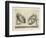 Illustration Of Sculpture-Wenzel Jamnitzer-Framed Giclee Print