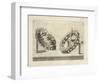 Illustration Of Sculpture-Wenzel Jamnitzer-Framed Giclee Print