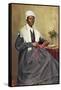 Illustration of Sojourner Truth after a Photograph-null-Framed Stretched Canvas