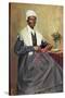 Illustration of Sojourner Truth after a Photograph-null-Stretched Canvas