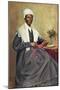 Illustration of Sojourner Truth after a Photograph-null-Mounted Giclee Print