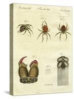 Illustration of Spiders, 1790-Jacob Xavier Schmuzer-Stretched Canvas