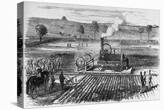 Illustration of Steam Engine Ploughing a Field at Grimsthorpe-null-Stretched Canvas