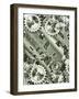 Illustration Of Steampunk Inspired Cogs And Clockwork-clearviewstock-Framed Art Print