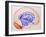 Illustration of the Limbic System of the Brain-John Bavosi-Framed Photographic Print