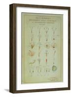 Illustration of the Linnean Plant Sexual System (Coloured Engraving)-Carl Linnaeus-Framed Giclee Print