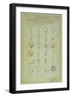 Illustration of the Linnean Plant Sexual System (Coloured Engraving)-Carl Linnaeus-Framed Giclee Print