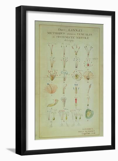 Illustration of the Linnean Plant Sexual System (Coloured Engraving)-Carl Linnaeus-Framed Giclee Print