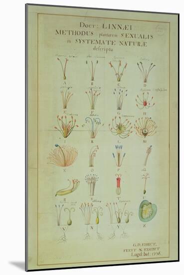 Illustration of the Linnean Plant Sexual System (Coloured Engraving)-Carl Linnaeus-Mounted Giclee Print