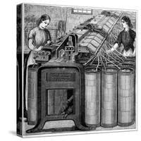 Illustration of the Manufacture of Cotton-Stefano Bianchetti-Stretched Canvas