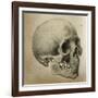 Illustration of the Skull of a Bushman of the Hottentot Tribe Africa-null-Framed Art Print