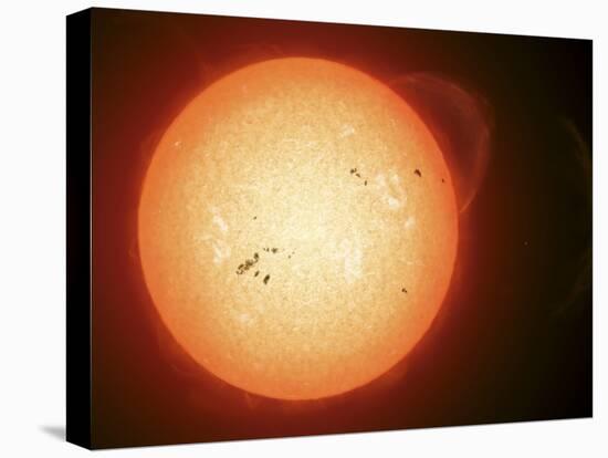 Illustration of the Sun with Visible Dark Sunspots on the Surface, Prominences and Some Solar Wind-Stocktrek Images-Stretched Canvas