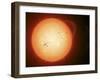 Illustration of the Sun with Visible Dark Sunspots on the Surface, Prominences and Some Solar Wind-Stocktrek Images-Framed Photographic Print