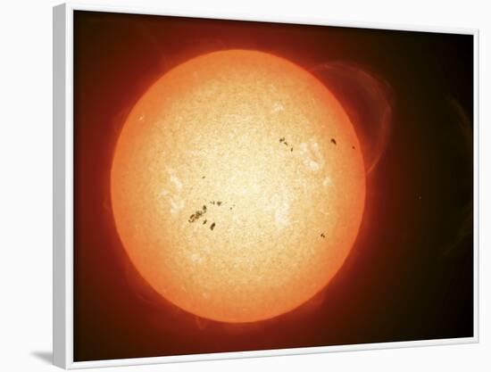 Illustration of the Sun with Visible Dark Sunspots on the Surface, Prominences and Some Solar Wind-Stocktrek Images-Framed Photographic Print