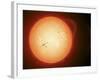 Illustration of the Sun with Visible Dark Sunspots on the Surface, Prominences and Some Solar Wind-Stocktrek Images-Framed Photographic Print