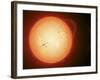 Illustration of the Sun with Visible Dark Sunspots on the Surface, Prominences and Some Solar Wind-Stocktrek Images-Framed Photographic Print