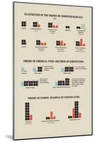Illustration of the Theory of Compound Radicals-Edward L. Youmans-Mounted Art Print