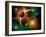 Illustration of the Variations of Stars and Planets in the Milky Way Galaxy-Stocktrek Images-Framed Photographic Print