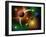 Illustration of the Variations of Stars and Planets in the Milky Way Galaxy-Stocktrek Images-Framed Photographic Print