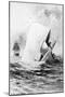 Illustration of the White Whale-A. Burnham Shute-Mounted Giclee Print